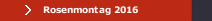 Rosenmontag 2016